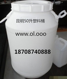 蜂蜜塑料桶糖浆塑料桶50L60L塑料桶塑料罐